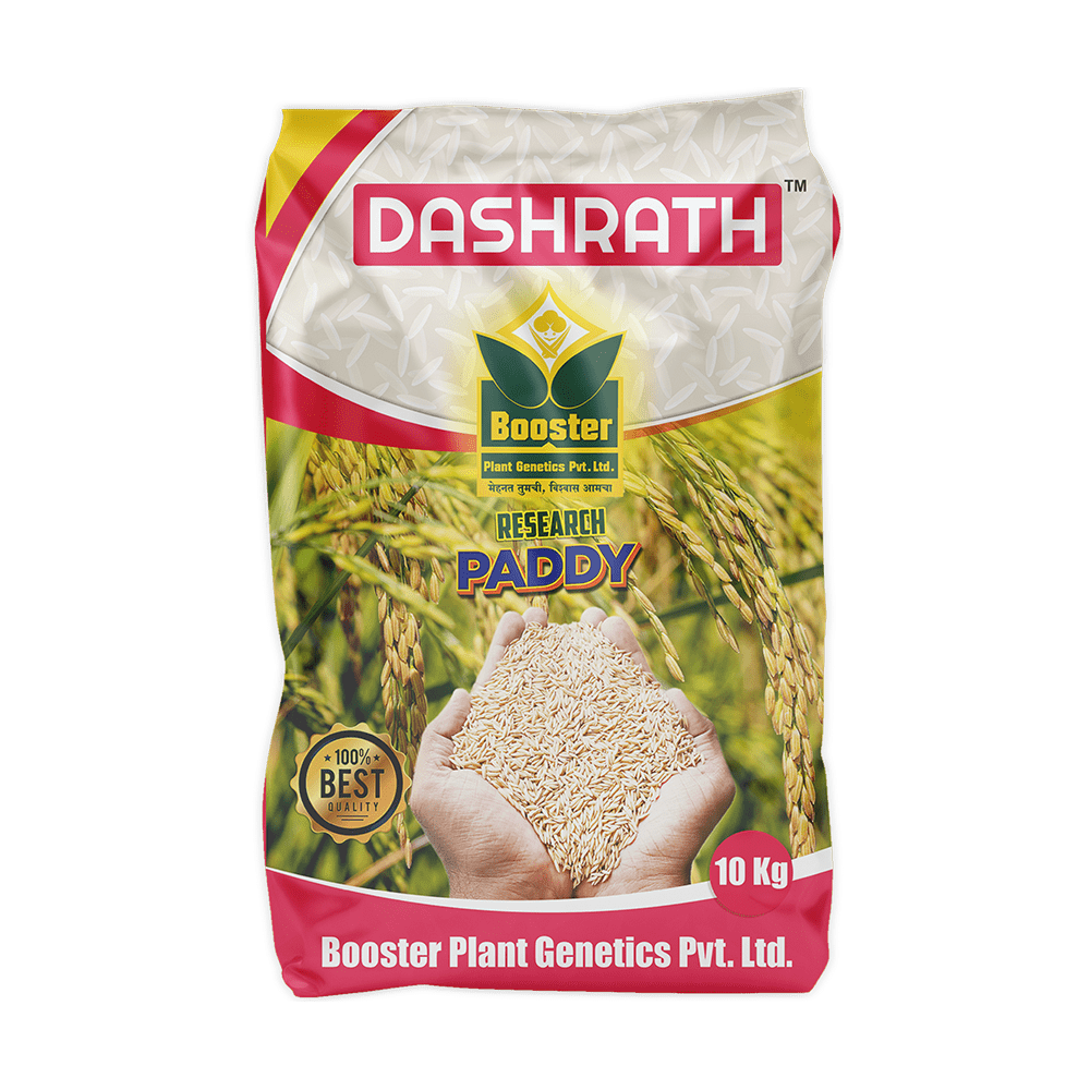 Research-paddy-BPGV-222-Dashrath - High-Quality Paddy Seeds by Booster Paris