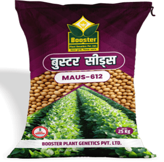 MAUS-612 - High-Quality soya been Seeds by Booster Paris