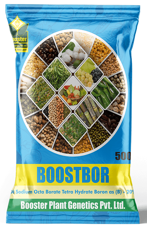 Boostbor - Micronutrient | Booster Paris Micronutrients