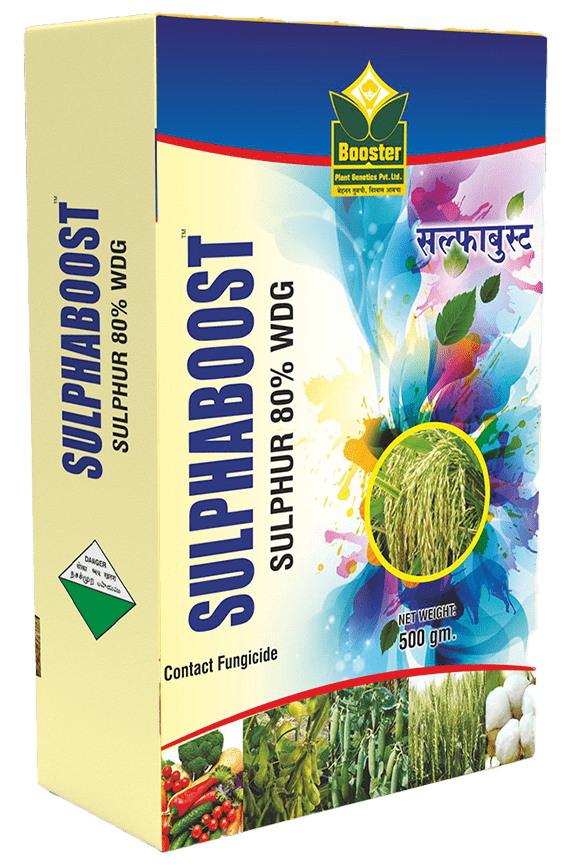 Sulphaboost, Sulphur - 80% WDG pesticide by Booster Paris offers effective fungicide control for agricultural crops. Rely on Booster Paris for quality pesticides and agricultural products.